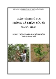 Giáo trình Trồng và chăm sóc ổi - MĐ03: Trồng xoài, ổi, chôm chôm