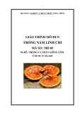 Giáo trình Trồng nấm linh chi - MĐ05: Trồng và nhân giống nấm