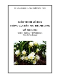 Giáo trình Trồng và chăm sóc thanh long - MĐ03: Trồng thanh long