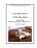 Giáo trình Nuôi lợn choai - MĐ04: Chăn nuôi gà, lợn hữu cơ