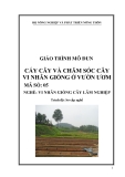 Giáo trình Cấy cây và chăm sóc cây vi nhân giống ở vườn ươm - MĐ05: Vi nhân giống cây lâm nghiệp