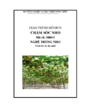 Giáo trình Chăm sóc nho - MĐ03: Trồng nho