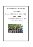 Giáo trình Nhân giống bằng ghép - MĐ04: Nhân giống cây ăn quả