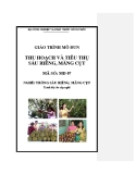 Giáo trình Thu hoạch và tiêu thụ sầu riêng, măng cụt - MĐ07: Trồng sầu riêng, măng cụt