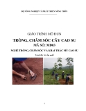 Giáo trình Trồng, chăm sóc cây cao su - MĐ03: Trồng, chăm sóc và khai thác mủ cao su