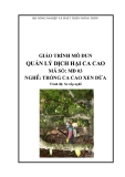 Giáo trình Quản lý dịch hại ca cao - MĐ03: Trồng ca cao xen dừa