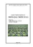 Giáo trình Trồng rau nhóm ăn lá - MĐ03: Trồng rau an toàn