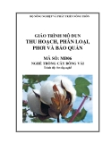 Giáo trình Thu hoạch, phân loại, phơi và bảo quản - MĐ06: Trồng cây bông vải