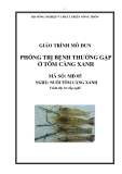 Giáo trình Phòng trị bệnh thường gặp ở tôm càng xanh - MĐ05: Nuôi tôm càng xanh