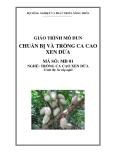 Giáo trình Chuẩn bị và trồng ca cao xen dừa - MĐ01: Trồng ca cao xen dừa