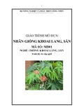 Giáo trình Nhân giống khoai lang, sắn - MĐ01: Trồng khoai lang, sắn