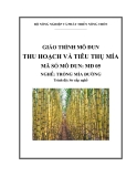 Giáo trình Thu hoạch và tiêu thụ mía - MĐ05: Trồng mía đường