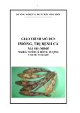 Giáo trình Phòng, trị bệnh cá - MĐ05: Nuôi cá bống tượng