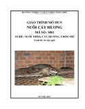 Giáo trình Nuôi cầy hương - MĐ02: Nuôi nhím, cầy hương, chim trĩ