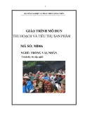 Giáo trình Thu hoạch và tiêu thụ sản phẩm - MĐ06: Trồng vải, nhãn