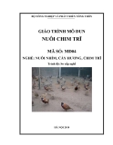 Giáo trình Nuôi chim trĩ - MĐ04: Nuôi nhím, cầy hương, chim trĩ