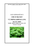 Giáo trình Chuẩn bị đất và trồng khoai lang - MĐ02: Trồng khoai lang, sắn