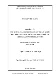 Luận văn thạc sĩ sinh học: Nghiên cứu ảnh hưởng của môi trường và giá thể mô rễ đến khả năng nhân sinh khối cộng sinh nấm rễ Am (Arbuscular mycorrhiza) in vitro