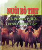 Kỹ thuật nuôi bò và phòng chữa bệnh thường gặp: Phần 1