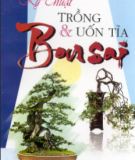 Nghệ thuật trồng và uốn tỉa Bonsai: Phần 1