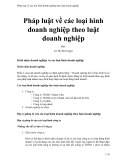 Pháp luật về các loại hình doanh nghiệp theo luật doanh nghiệp - Lê Thị Bích Ngọc