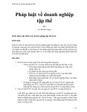 Pháp luật về doanh nghiệp tập thể - Lê Thị Bích Ngọc