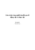 Giáo trình Công nghệ chuyển gen ở động vật và thực vật - Trần Quốc Dung