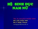 Bài giảng Giải phẫu học: Hệ sinh dục nam nữ - ThS.BS. Nguyễn Phước Vĩnh