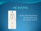 Bài giảng Giải phẫu học: Hệ xương - BS. Nguyễn Trường Kỳ