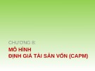 Bài giảng Quản trị danh mục đầu tư - Chương 8: Mô hình định giá tài sản vốn (CAPM)