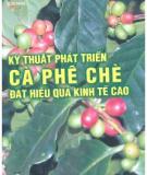 Phương pháp phát triển cà phê chè đạt hiệu quả kinh tế cao: Phần 2