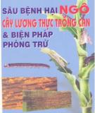 Biện pháp phòng trừ Sâu bệnh hại ngô cây lương thực trồng cạn: Phần 2