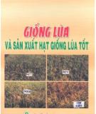 Sản xuất hạt giống lúa tốt và giống lúa: Phần 2