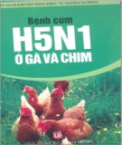 Tìm hiểu về bệnh cúm H5N1 ở gà và chim: Phần 1