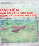 Giống bò Zebu và sự cải tiến đàn bò vàng Việt Nam: Phần 1