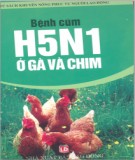 Tìm hiểu về bệnh cúm H5N1 ở gà và chim: Phần 2