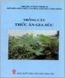 Kỹ thuật Trồng cây thức ăn gia súc: Phần 2