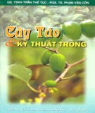 Kỹ thuật trồng Cây táo: Phần 1