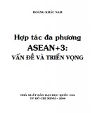 Vấn đề và triển vọng - Hợp tác đa phương ASEAN+3 (Phần 1)