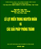 Các giải pháp phòng tránh lũ lụt miền Trung, nguyên nhân: Phần 1