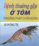 Phương pháp chẩn đoán và phòng trị bệnh thường gặp ở tôm: Phần 1