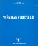 Triệu chứng Viêm gan virut B và D: Phần 2