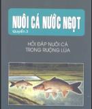 Tập 3: Hỏi đáp nuôi cá trong ruộng lúa - Nuôi cá nước ngọt