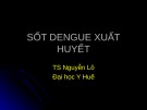Bài giảng Sốt Dengue xuất huyết - TS. Nguyễn Lô