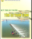 Hướng dẫn nuôi tôm sú thâm canh: Phần 1