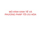 Bài giảng: Mô hình kinh tế và phương pháp tối ưu hóa