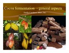 Cocoa fermentation general aspects