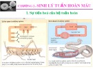 Bài giảng Sinh lý động vật: Chương 2 - Sinh lý tuần hoàn máu