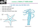 Bài giảng Sinh lý động vật: Chương 8 - Sinh lý thần kinh