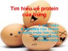 Bài thuyết trình: Tìm hiểu về protein của trứng